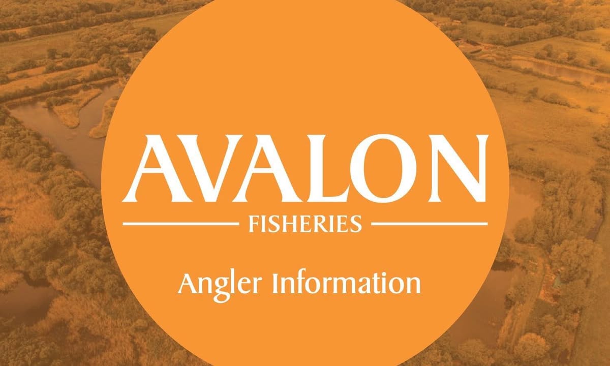 Avalon specimen carp lake